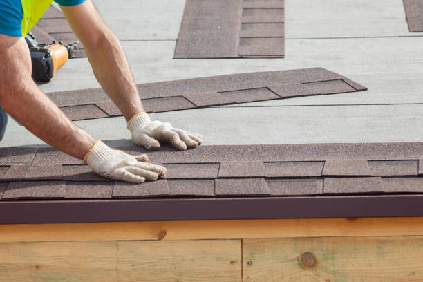 Best Metal Roofing Installation  in Horseshoe Bend, AR